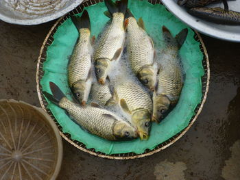 High angle view of fish in basket