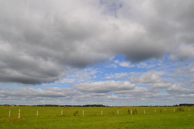 Scenic view of field against sky