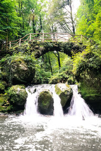 View of waterfall in forest