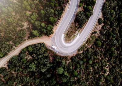 High angle view of winding road amidst trees