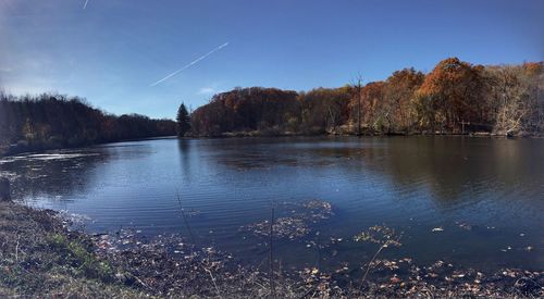 Scenic view of lake in forest against clear sky