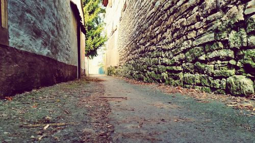 Narrow pathway along plants