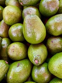 Full frame shot of avocados 