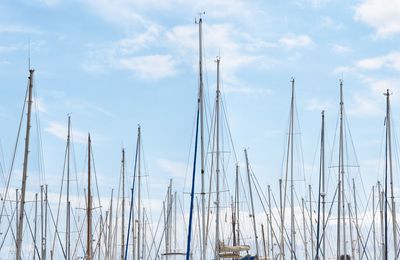 Sailboats in sea against sky