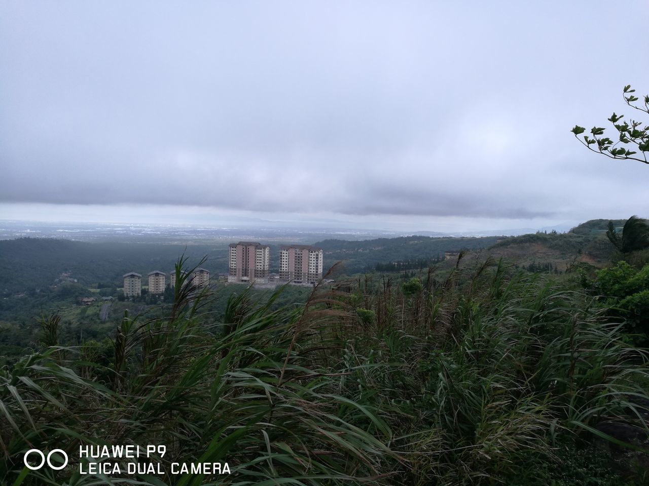 Tagaytay Highlands Office