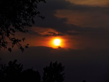 Silhouette trees against sky during sunset