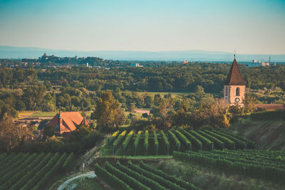 Panoramic view of trees and buildings against clear sky