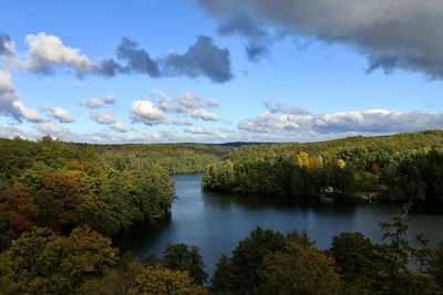 Scenic view of lake in forest against sky