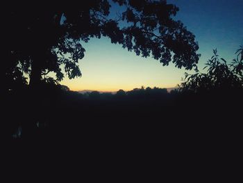 Silhouette trees in forest against clear sky