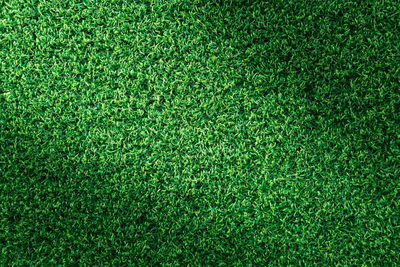 Full frame shot of grass on field