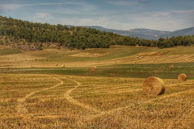 Hay bales on field against sky