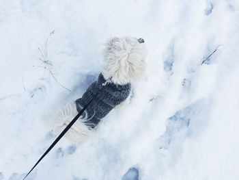 Close-up of snow covered against sky