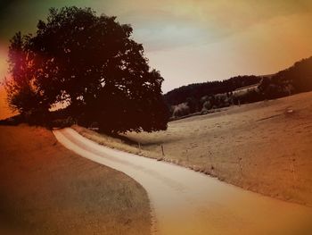 Road by trees against sky during sunset