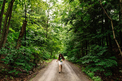 People walking on footpath in forest