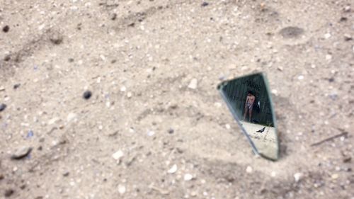 High angle view of insect on sand