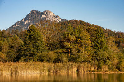 Scenic view of lake against clear sky during autumn