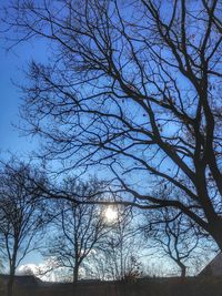 Low angle view of silhouette bare trees against sky