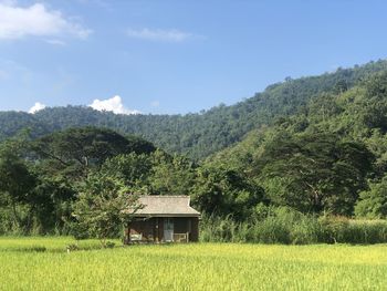 Scenic view of trees on field against sky