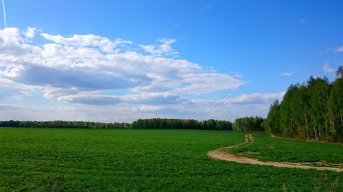 Scenic view of grassy field against cloudy sky