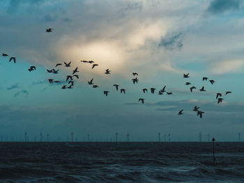 Flock of birds flying over sea against sky