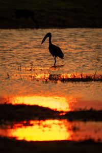 Scenic view of sunset