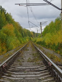 Railroad tracks by trees against sky