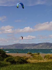 Bird flying over mountain range