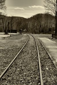 Railroad tracks along trees