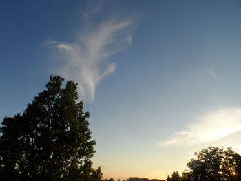 Low angle view of silhouette trees against sky during sunset