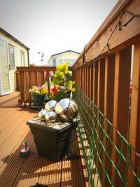 Potted plants on balcony against building