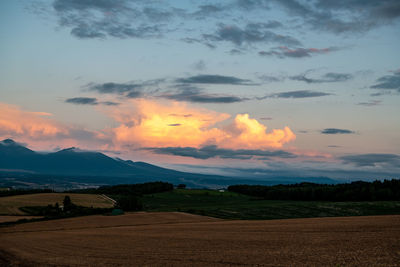 Scenic view of field against sky during sunset