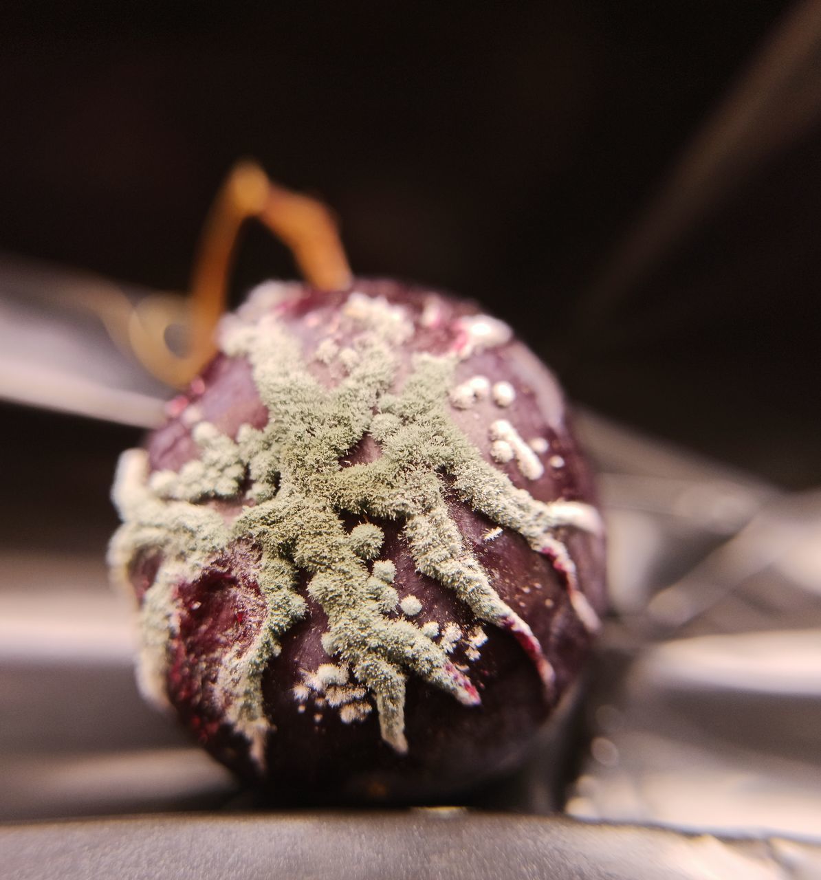 CLOSE-UP OF DESSERT IN PLATE