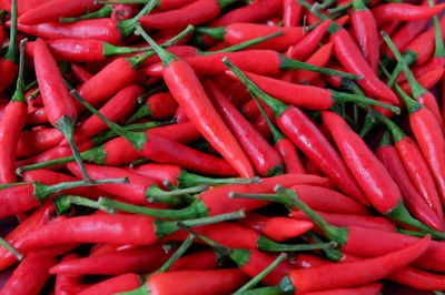vegetable