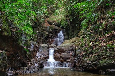 Scenic view of waterfall