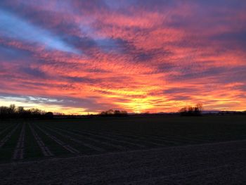 Scenic view of field against orange sky