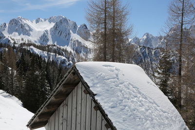 Snow covered trees by mountain against sky