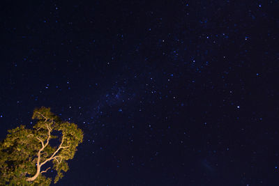 Star field against sky at night