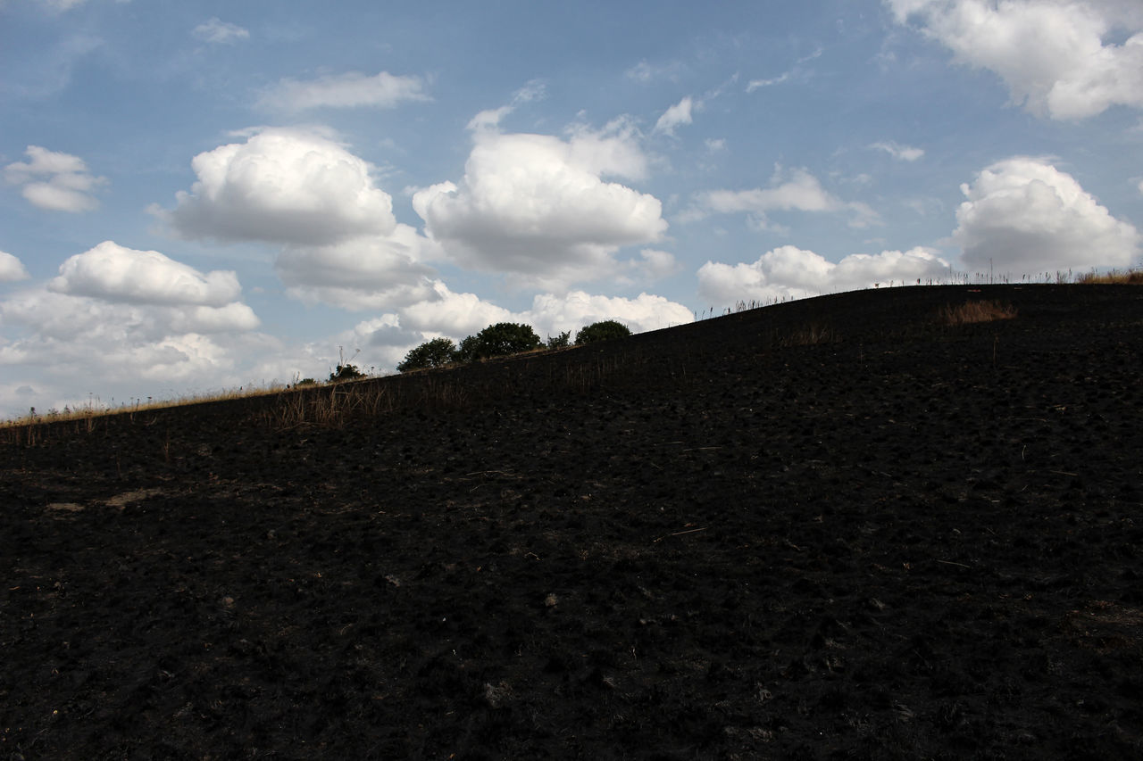 FIELD AGAINST SKY