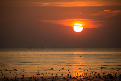 Scenic view of sea against orange sky