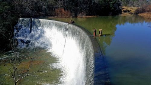 Reflection of trees in water