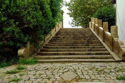 Low angle view of steps amidst trees