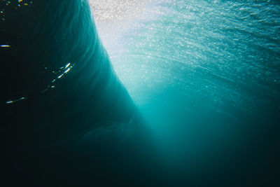 View of jellyfish swimming in sea