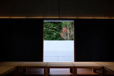 Trees seen through window