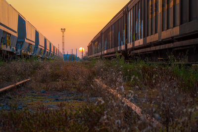 Freight trains on field during sunset