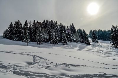 Scenic view of snow covered landscape