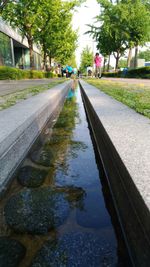 Reflection of building in puddle