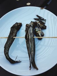 High angle view of fish on table