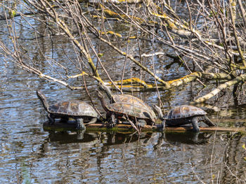 Nautical vessel in water