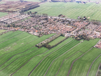 High angle view of agricultural field