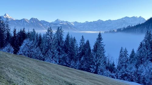 Scenic view of snowcapped mountains against clear sky